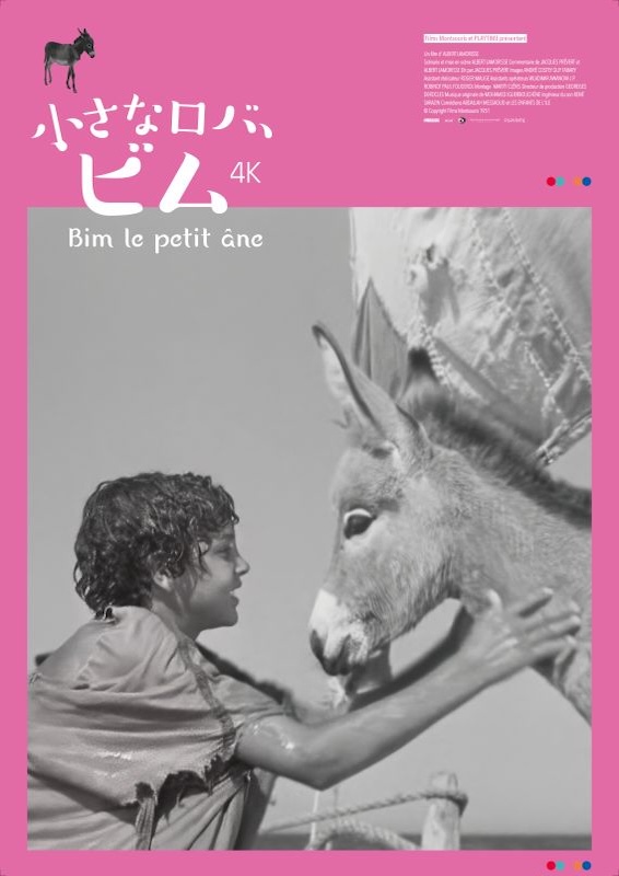 小さなロバ、ビム ４K