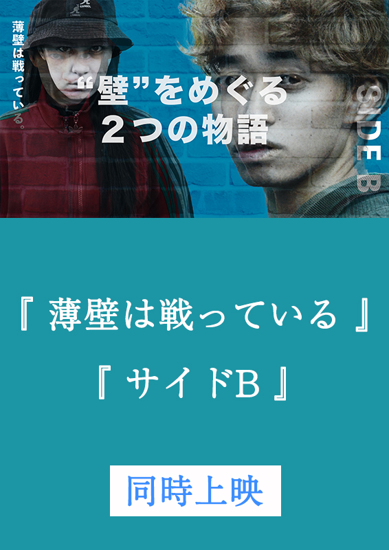 薄壁は戦っている＋サイドB