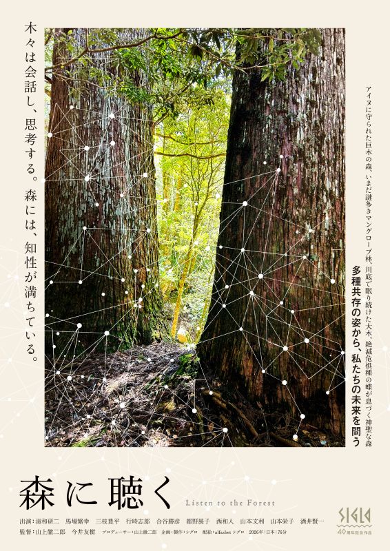 森に聴く Listen to the Forest